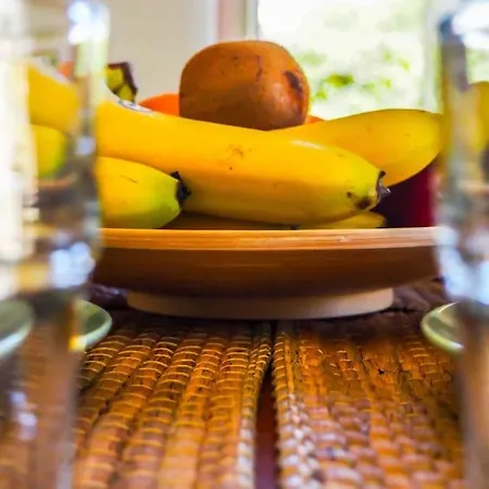 Εξοχικό σπίτι Kroussos *